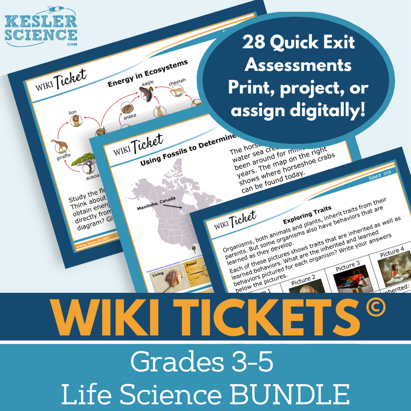 Cover Wiki 3-5 Life Bundle-3