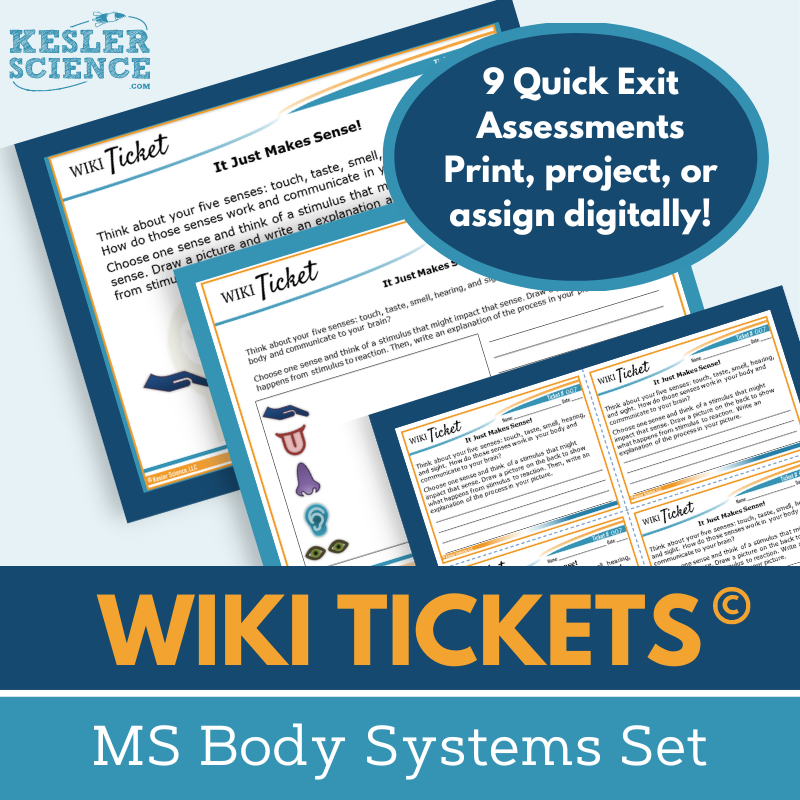 Cover Wiki MS Body Systems-4