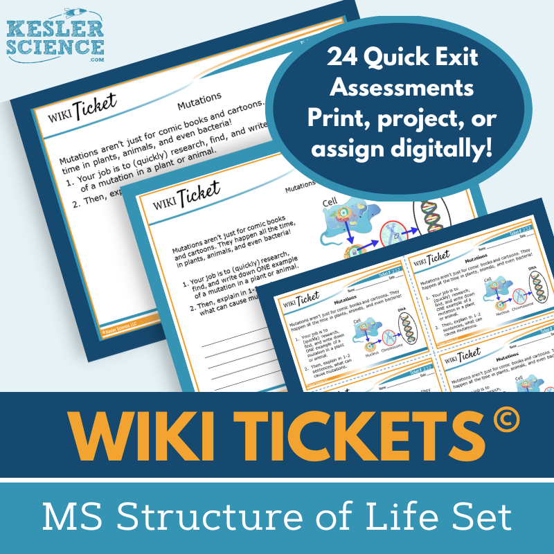 Cover Wiki MS Structure of Life-Apr-21-2025-02-43-52-6684-PM