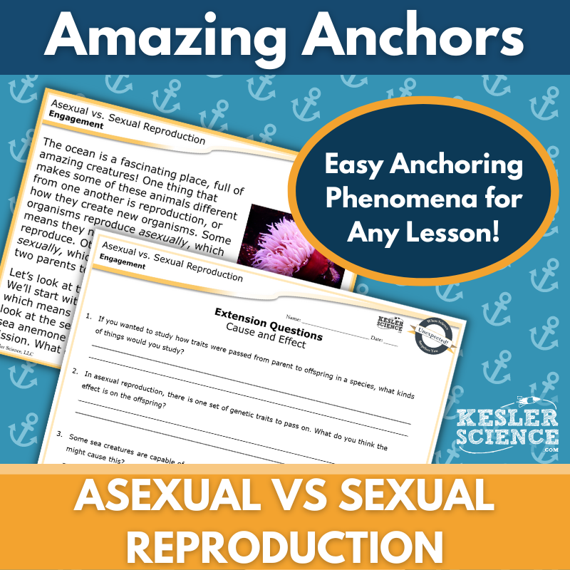 Cover-Asexual vs Sexual Reproduction-1