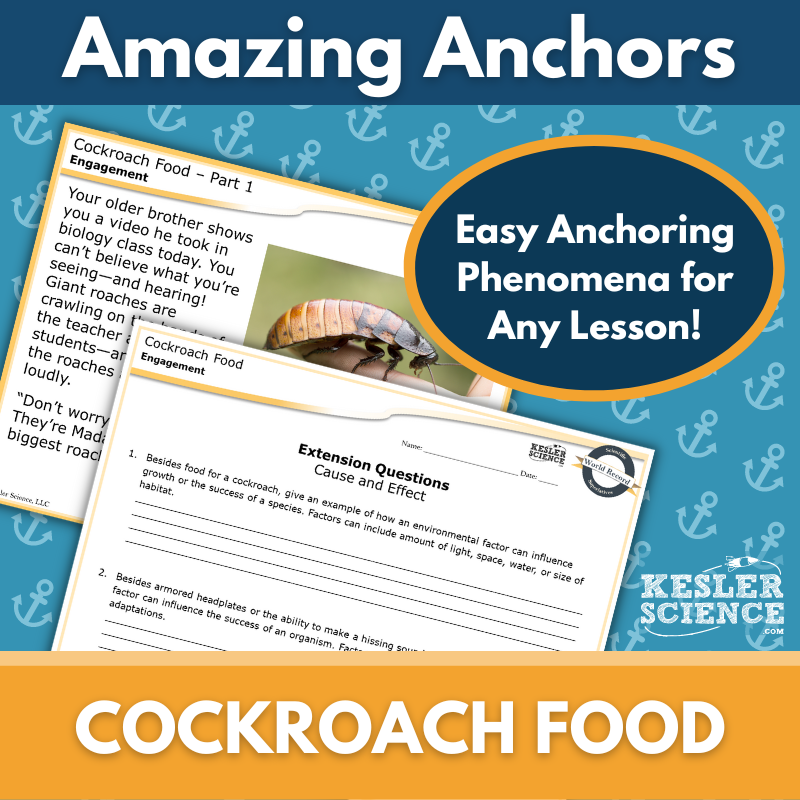 Cover-Cockroach Food