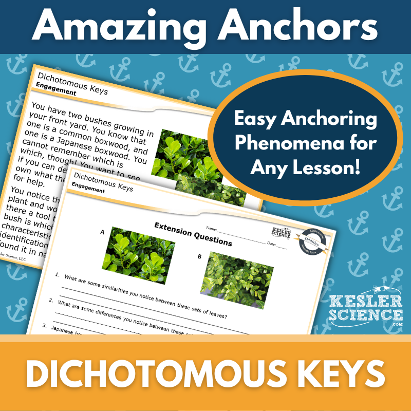 Cover-Dichotomous Keys