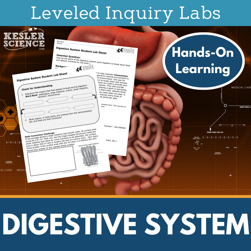 Cover-Digestive System