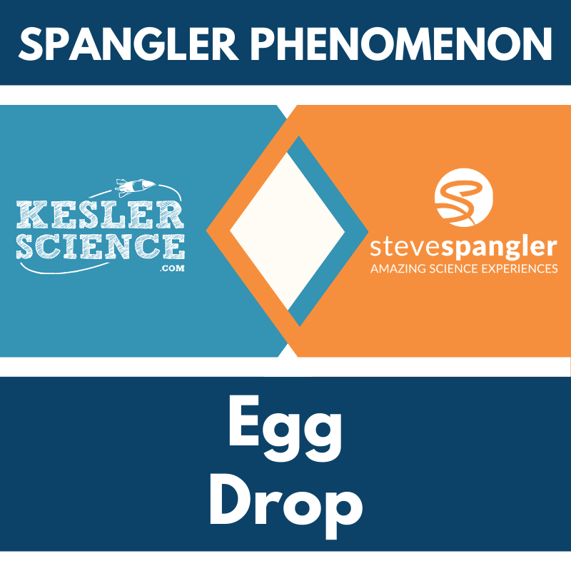 Cover-Egg Drop