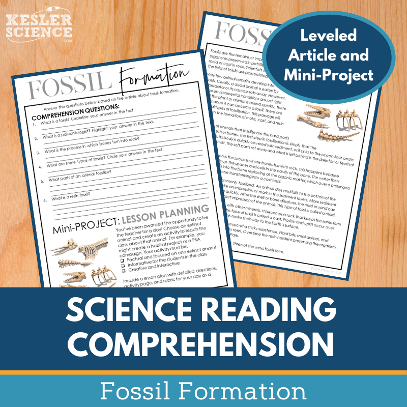 Cover-Fossil Formation