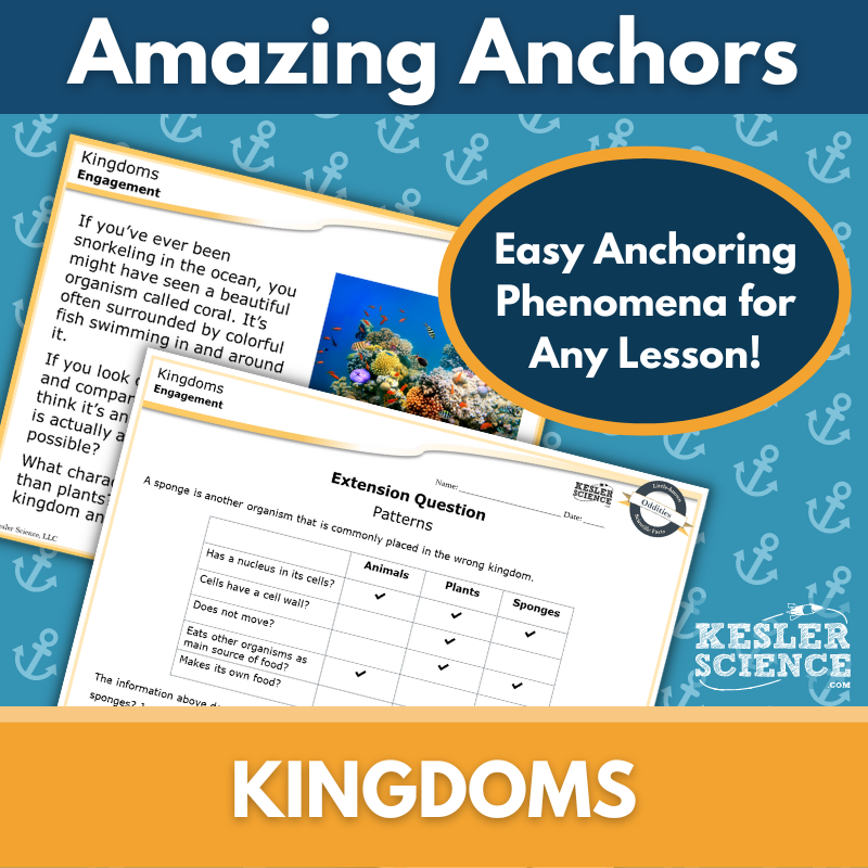 Cover-Kingdoms-1