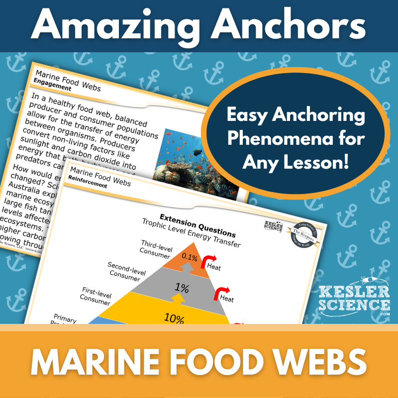 Cover-Marine Food Webs