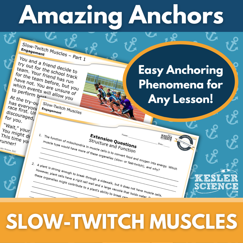 Cover-Slow-Twitch Muscles
