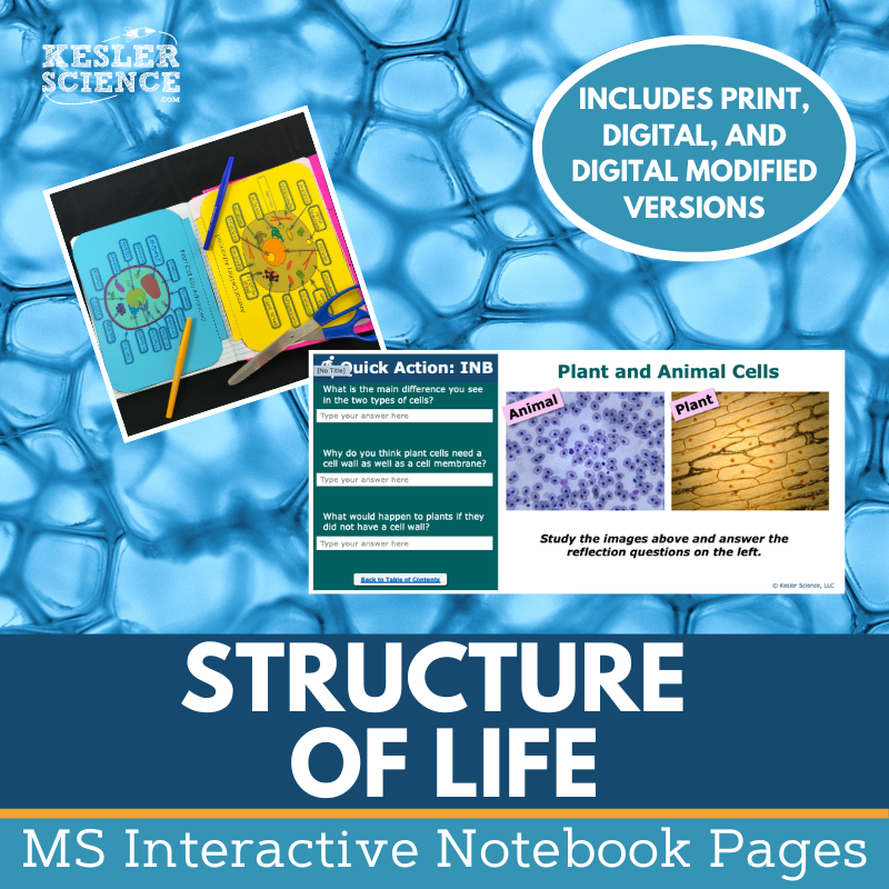 Cover-Structure of Life INB Bundle