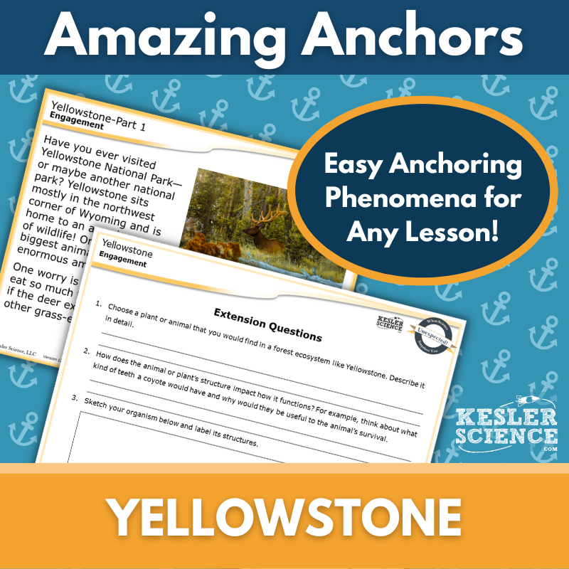 Cover-Yellowstone