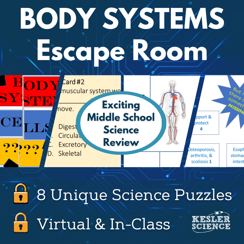 Cover24-Body Systems-Mar-05-2025-07-30-38-0833-PM