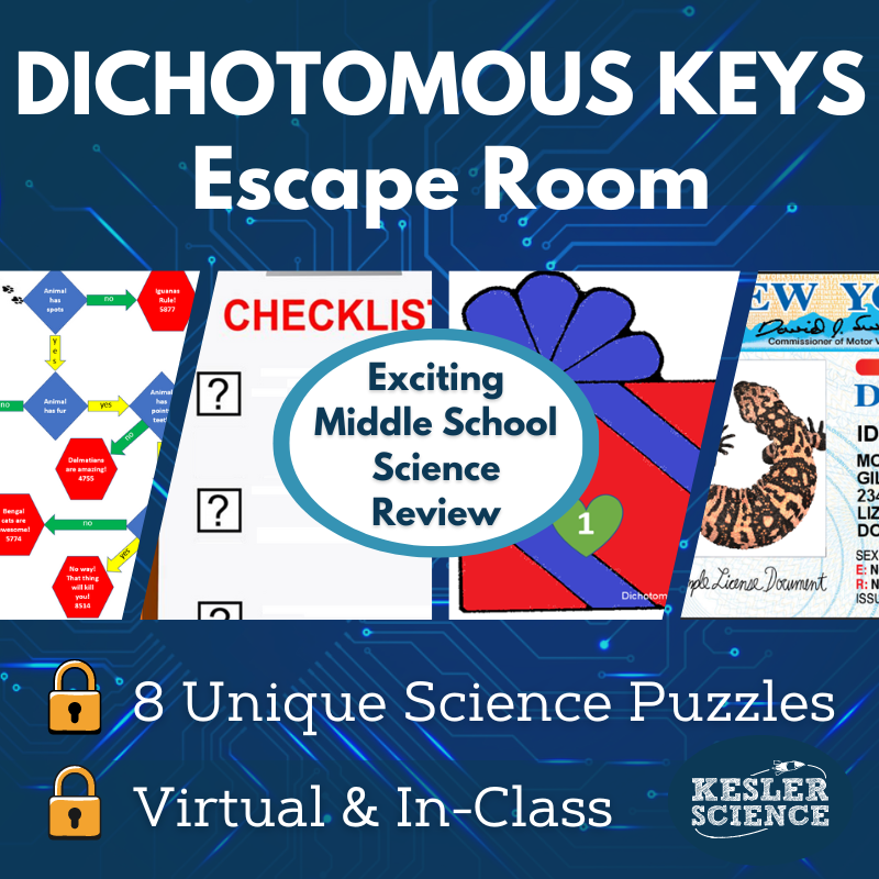 Cover24-Dichotomous Keys