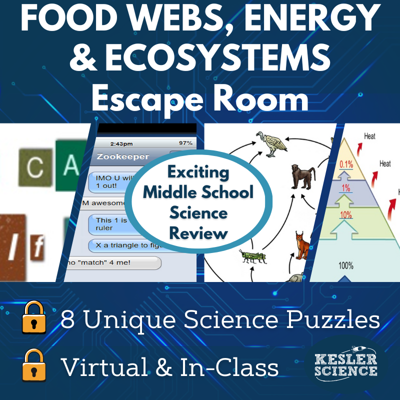 Cover24-Food Webs Energy in Ecosystem