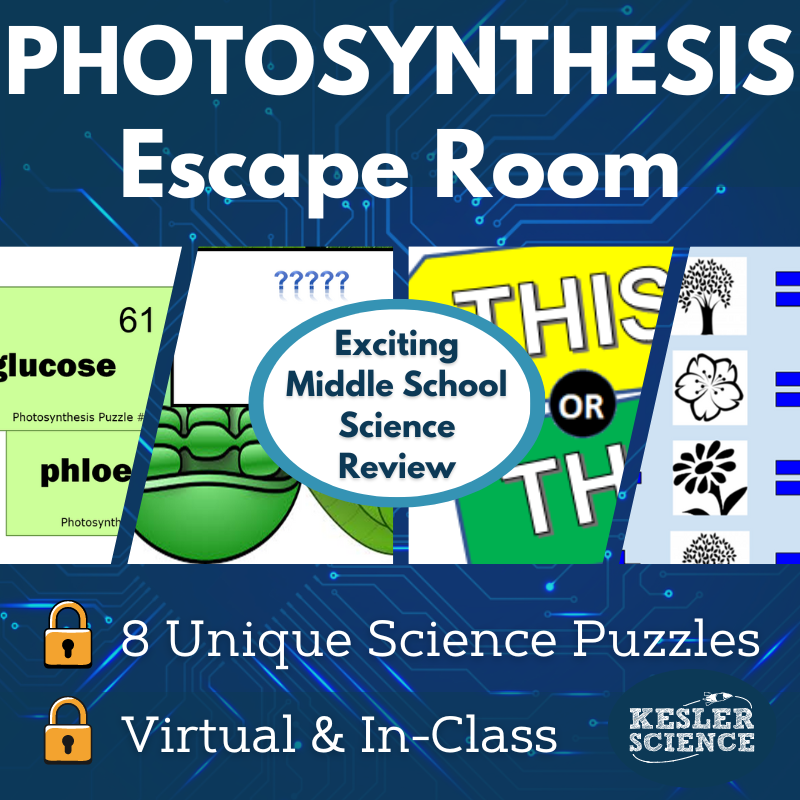 Cover24-Photosynthesis