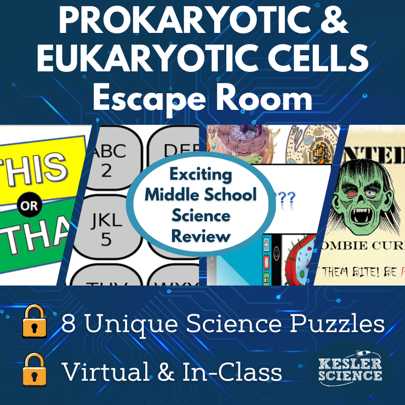 Cover24-Prokaryotic Eukaryotic Cells