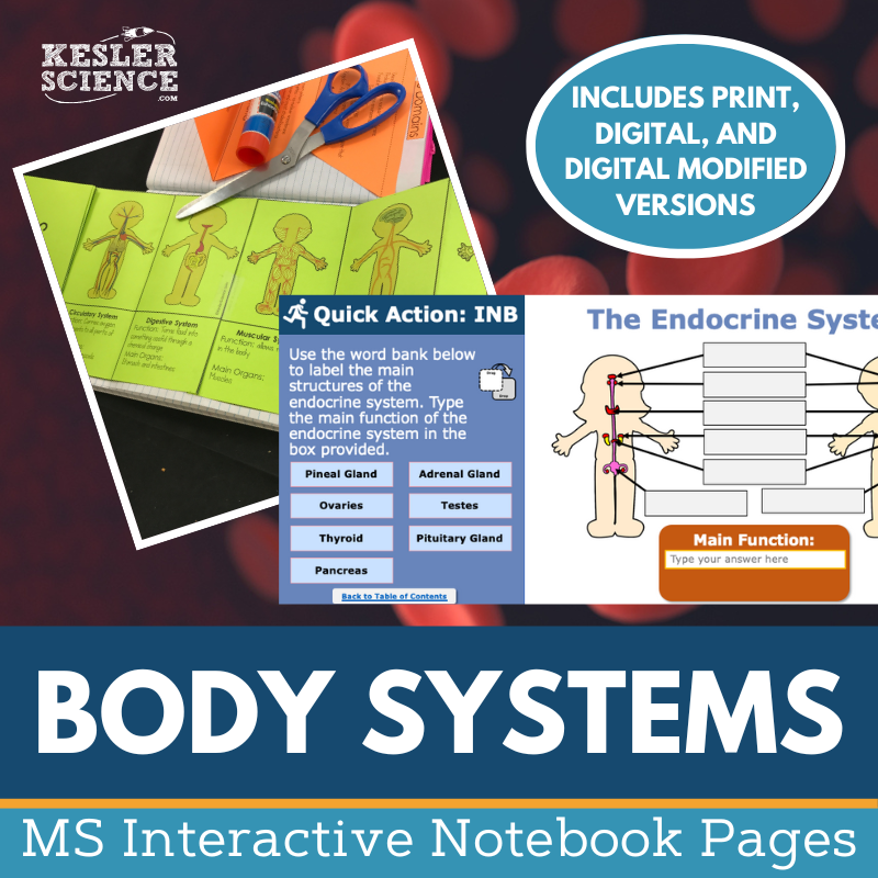 CoverUpdate-Body Systems INB Bundle