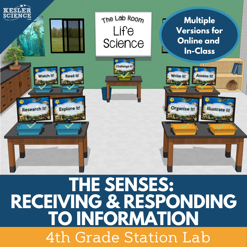 Cover_AnimalSenses_SL