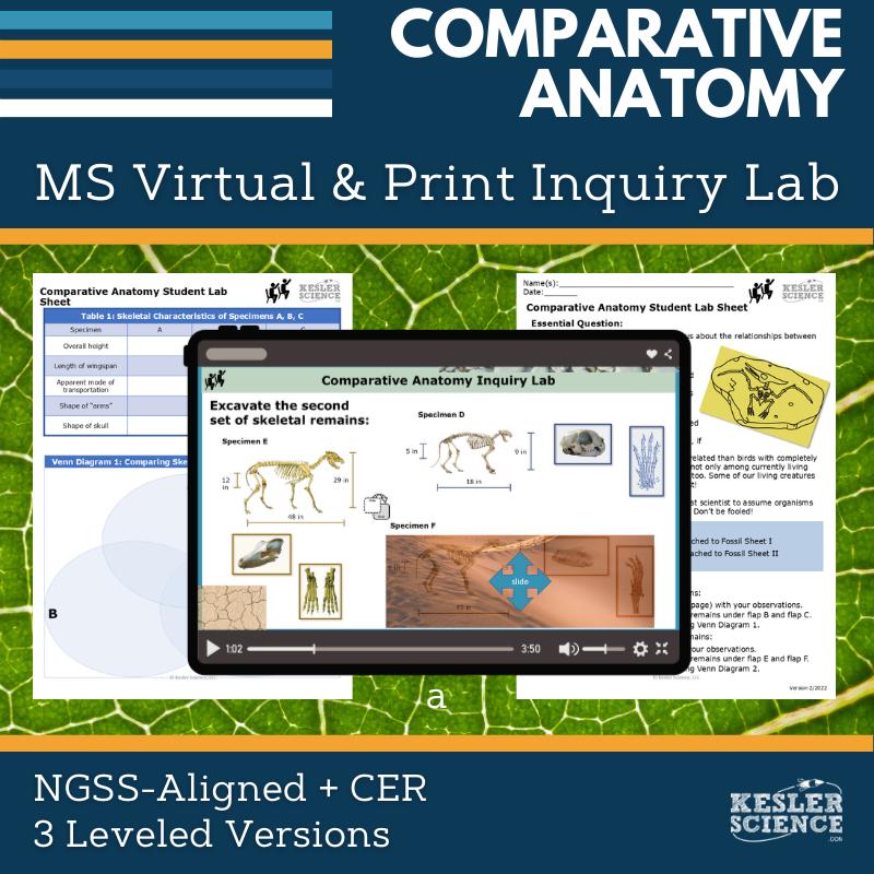 Cover_Comparative Anatomy - new