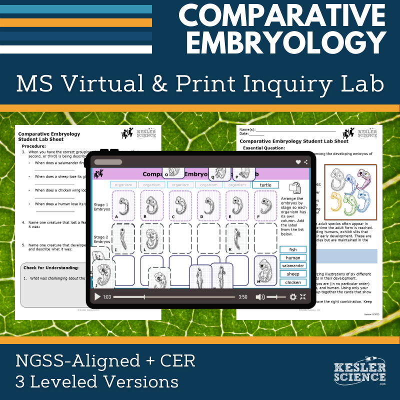 Cover_Comparative Embryology - new
