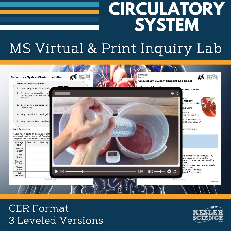 Cover_DIL_Circulatory