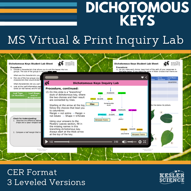 Cover_DIL_DichotomousKeys