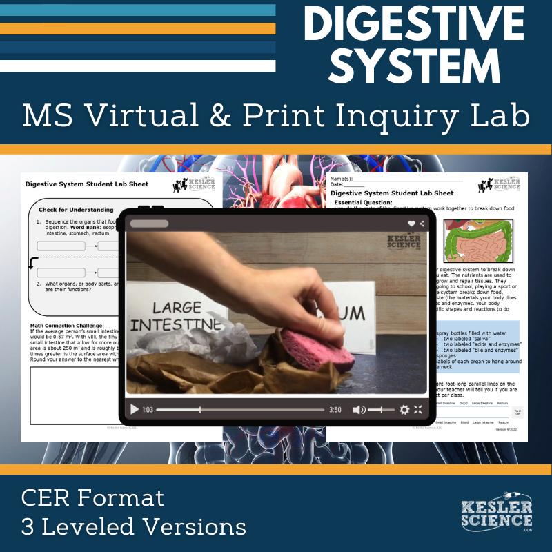 Cover_DIL_Digestive