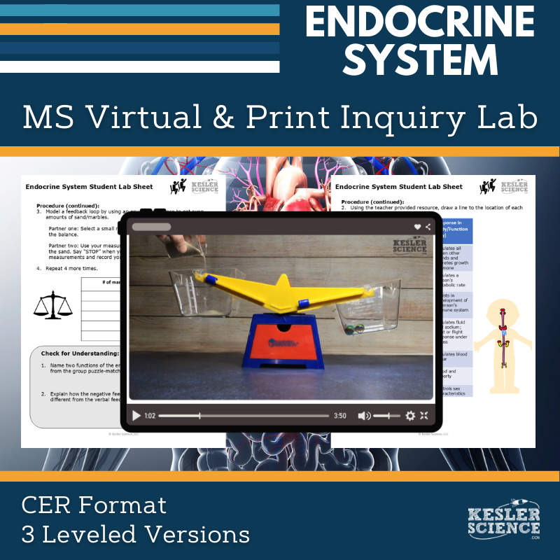 Cover_DIL_Endocrine