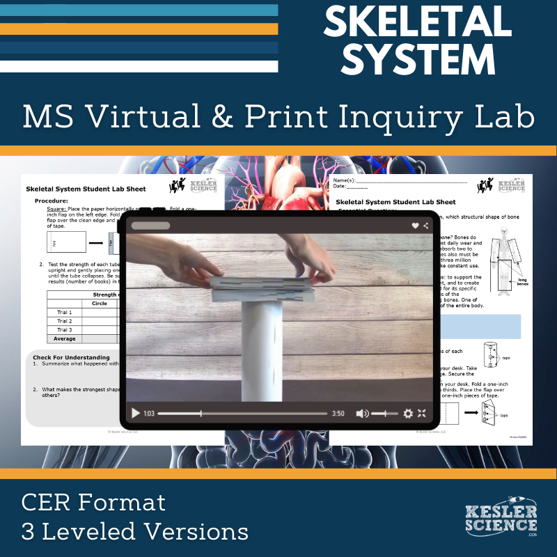 Cover_DIL_Skeletal