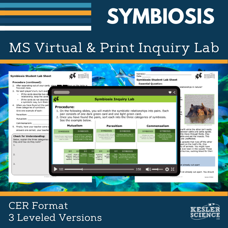 Cover_DIL_Symbiosis