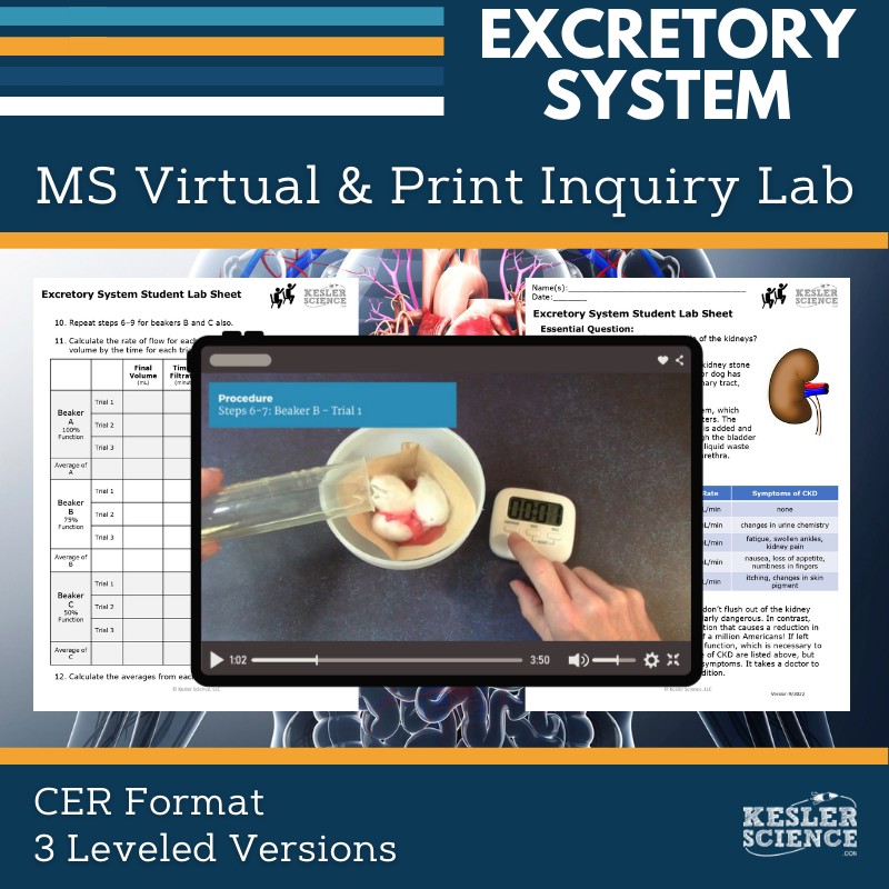 Cover_DIL_excretory
