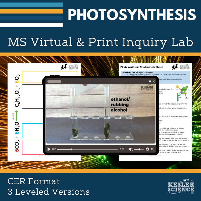 Cover_DIL_photosynthesis