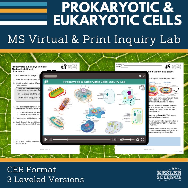 Cover_DIL_prokaryotic & eukaryotic cells