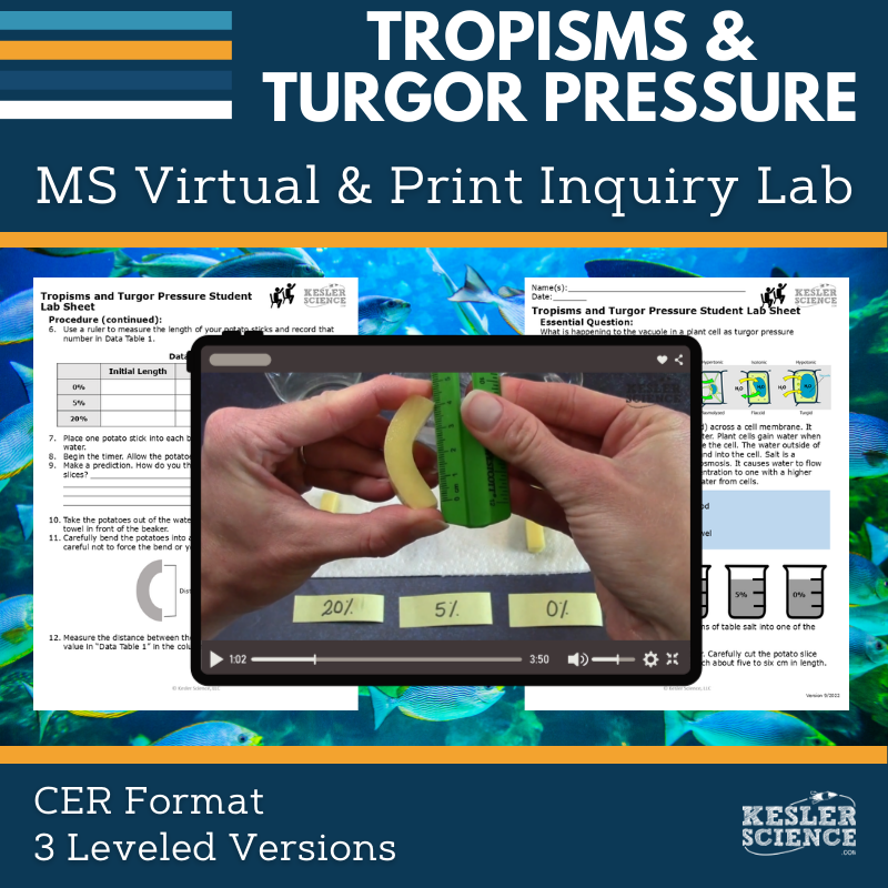 Cover_DIL_tropisms turgor Pressure