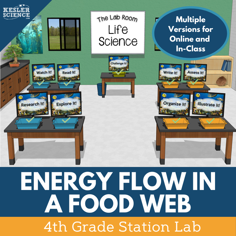 Cover_EnergyFlowFoodWeb_SL