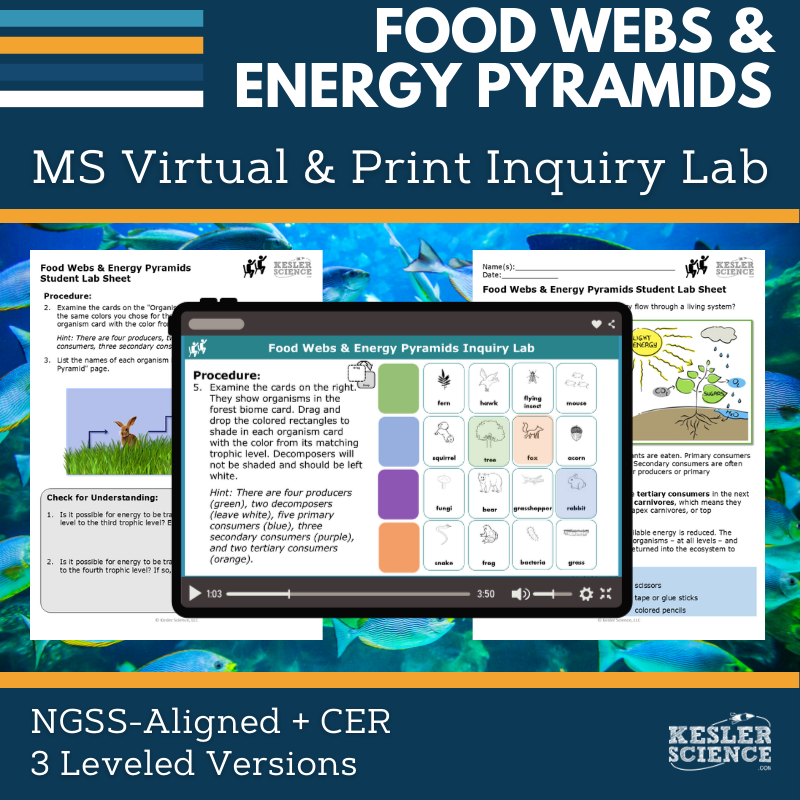 Cover_Food Webs & Energy Pyramids - new