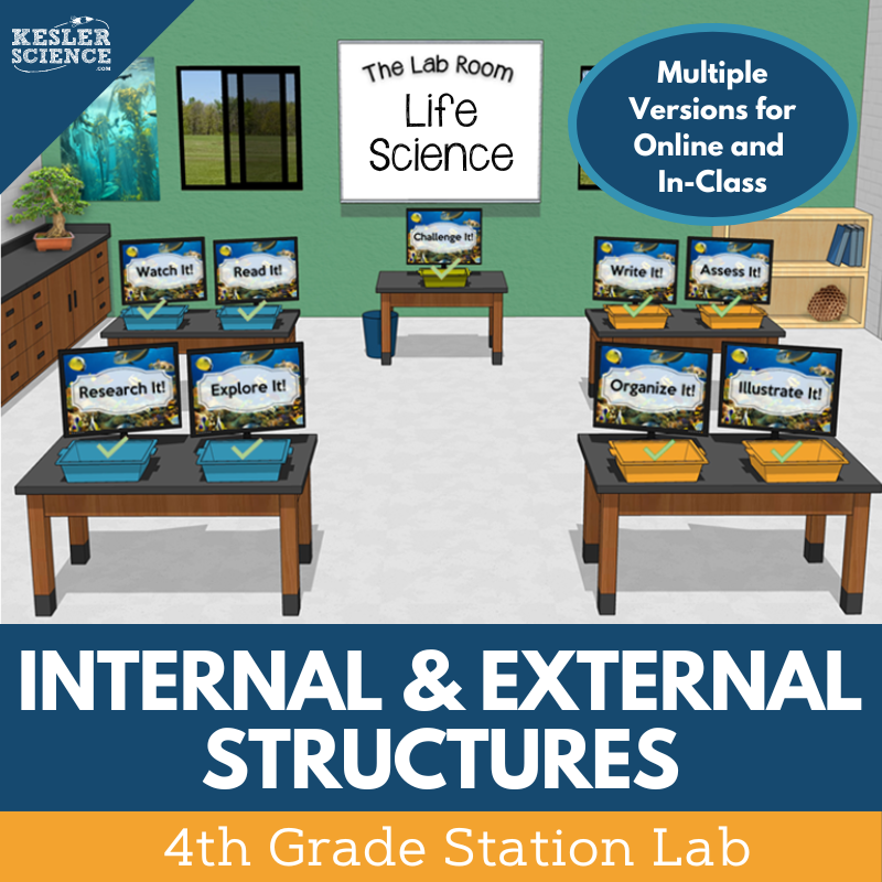 Cover_InternalExternalStructures_SL