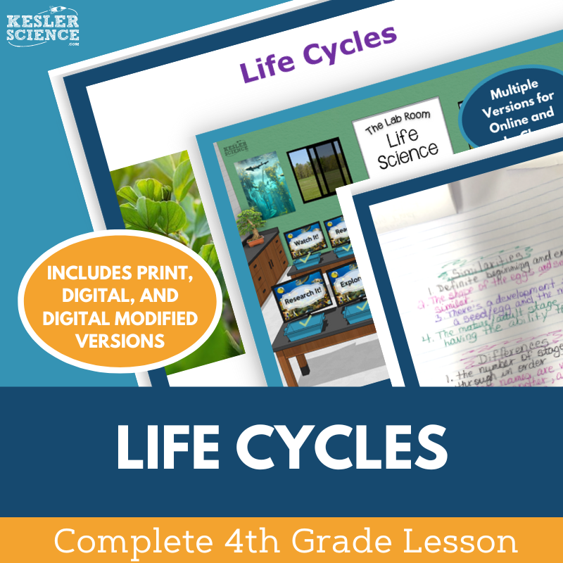 Cover_LifeCycles_Complete-1
