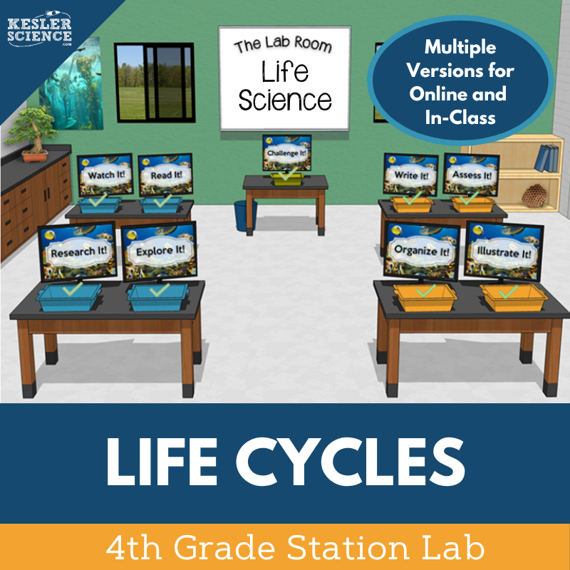 Cover_LifeCycles_SL