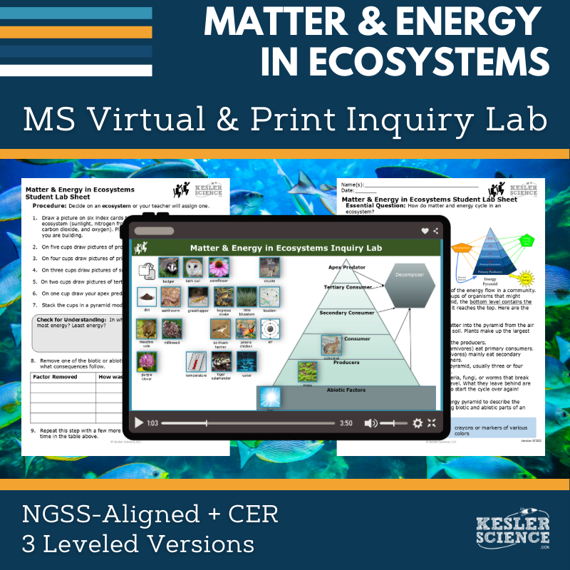Cover_Matter & Energy Ecosystems - new