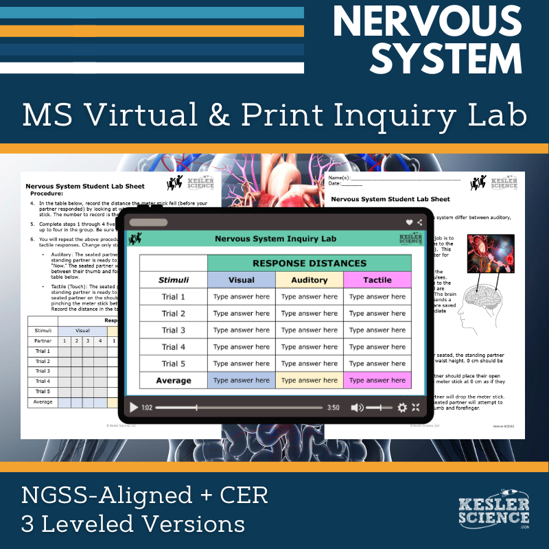 Cover_Nervous System - new