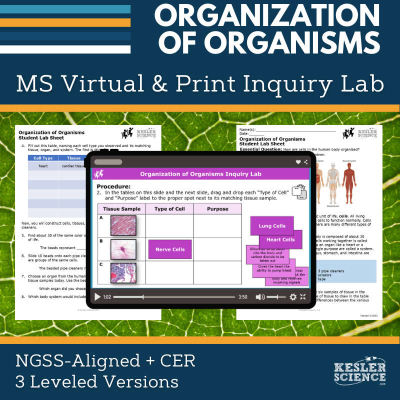 Cover_Organization of Organisms - new