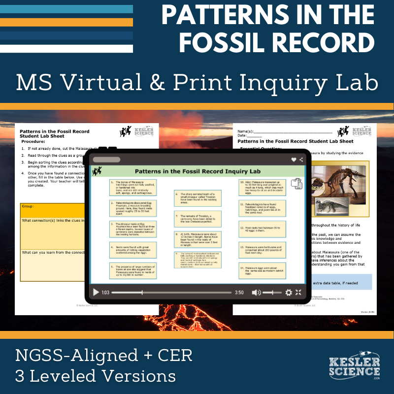 Cover_Patterns Fossil Record - new