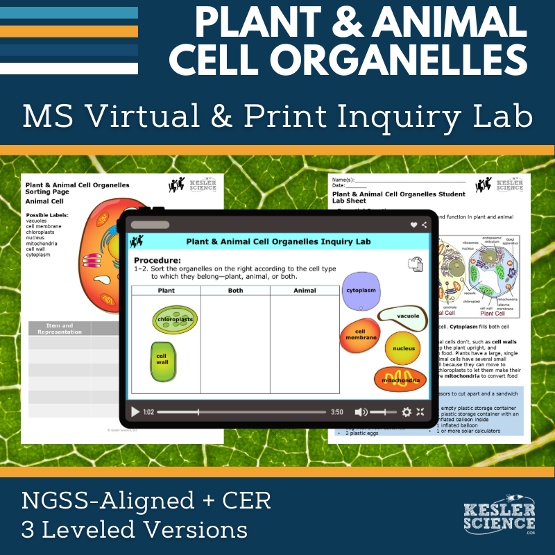 Cover_Plant & Animal Cell Organelles - new