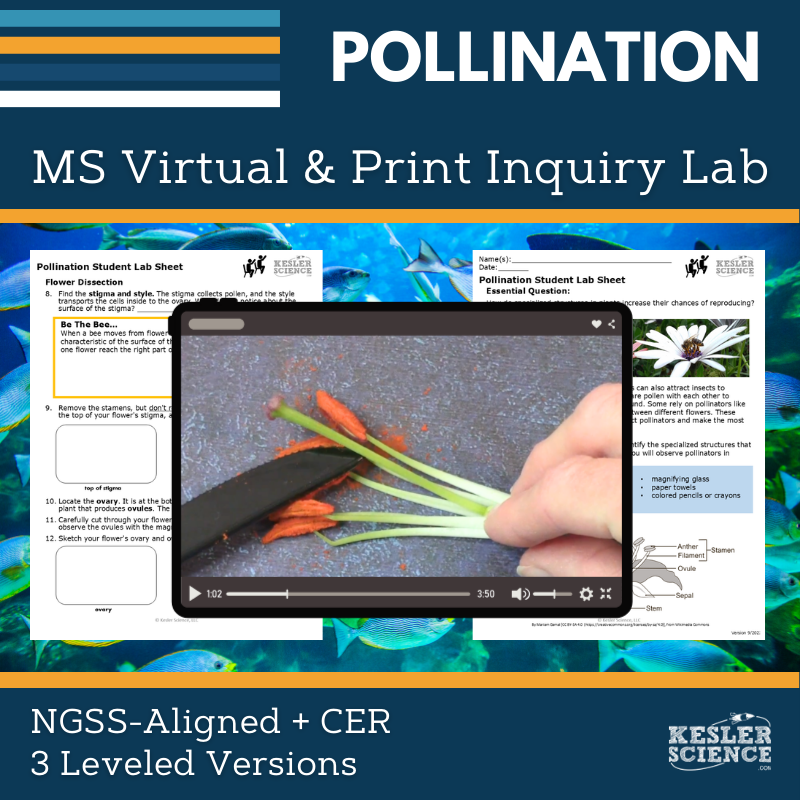 Cover_Pollination - new