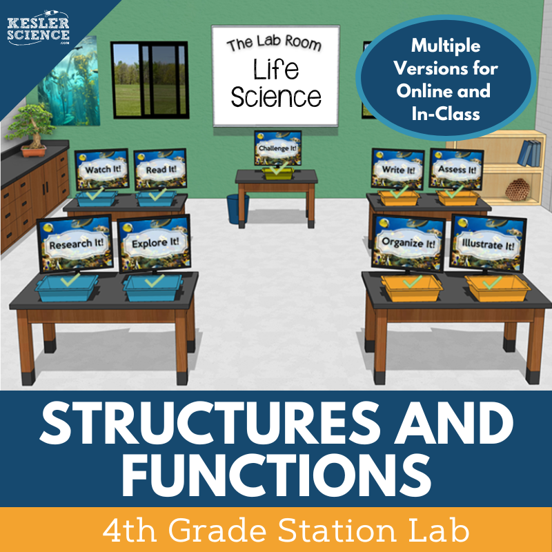 Cover_StructuresFunctions_SL