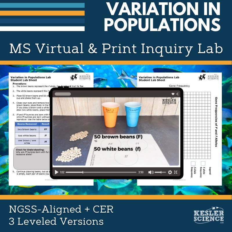 Cover_Variations Populations - new-1