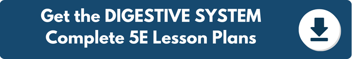 A banner which reads "Get the DIGESTIVE SYSTEM Complete 5E Lesson Plans". 