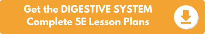 A banner which reads "Get the DIGESTIVE SYSTEM Complete 5E Lesson Plans". 