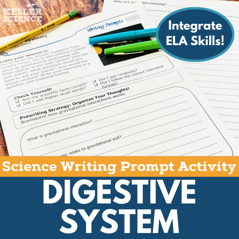 Digestive System Cover