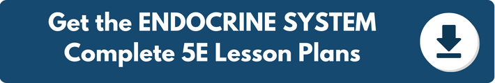 A banner which reads "Get the ENDOCRINE SYSTEM Complete 5E Lesson Plans". 